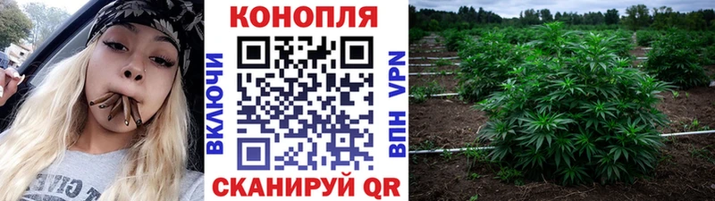 Купить где  Надым  Каннабис ГИДРОПОН 